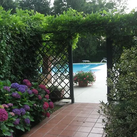 Green House Guest house *